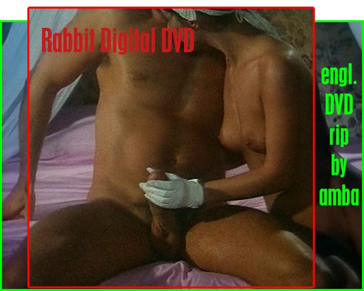 Classic, DVDrip] (Rosa Caracciolo, Rocco Siffredi, Nikita Gross, Tao, Tina, Zoltan Kabai, Lulu, Lana Jalta) � Porn torrents download