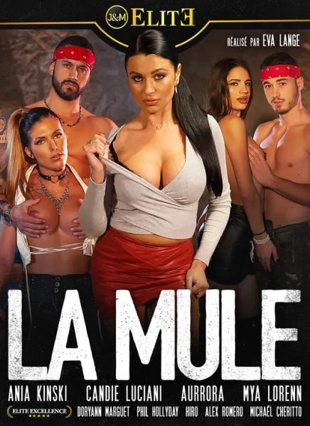 La Mule / Наркокурьер (Eva Lange, JM ELITE) [2022 г., Feature, Fetish, Anal, Big Tits, Lingerie, All Sex, WEB-DL] (Mya Lorenn, Candie Luciani, Aurrora, Ania Kinski) ]
