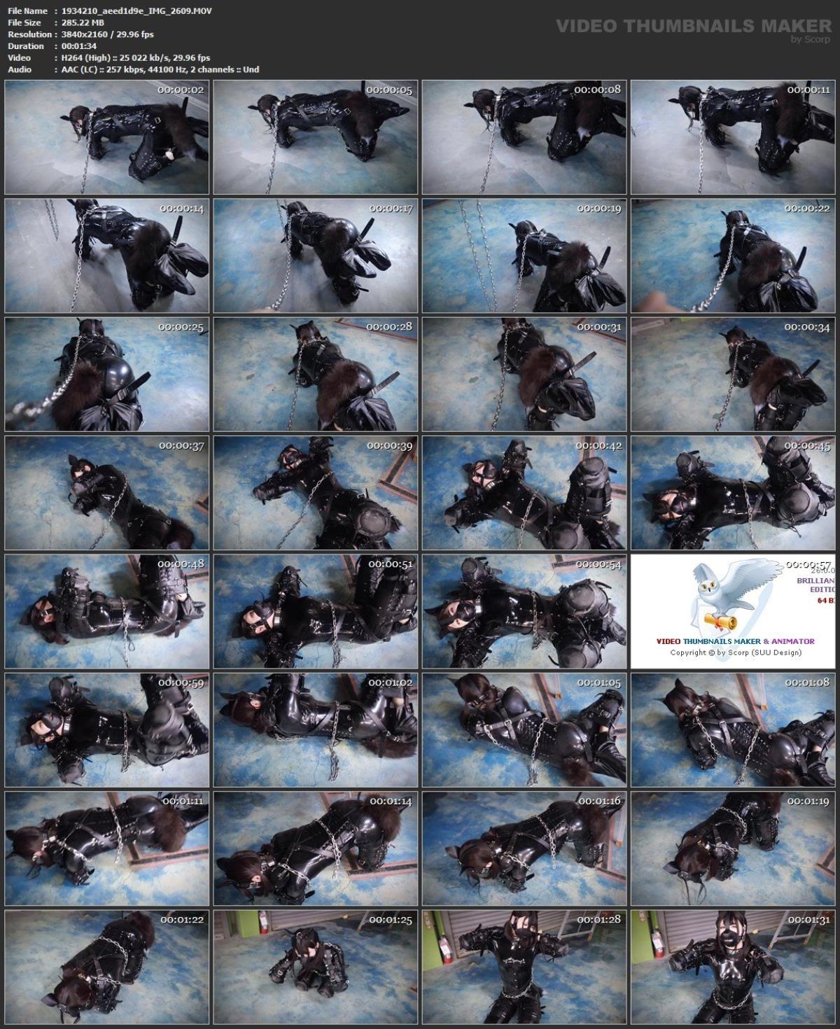 [120.38 GB] Lemon (369 video) | Free Porn Torrent