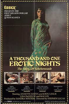 A Thousand and One Erotic Nights