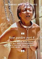 Rose Garden 4