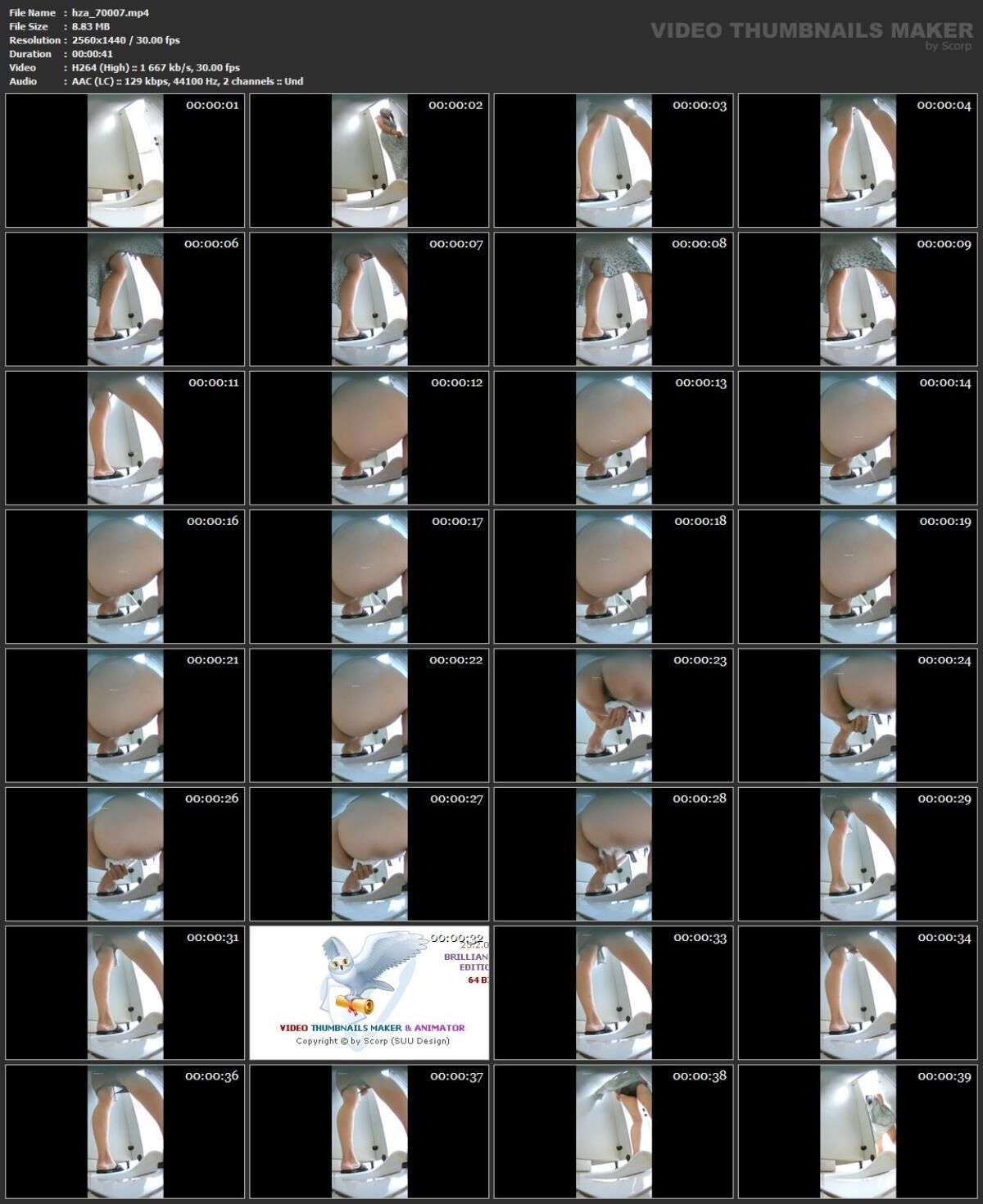 [94.97 GB] Hidden-Zone Asian Edition Pack 360 16 June 2024 (150 Clips)