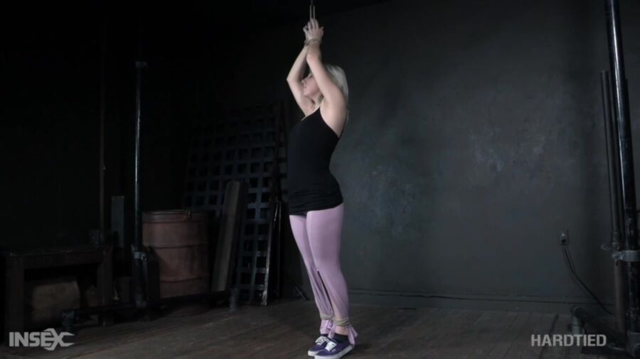 [HardTied.com] Lex Luthor (fLex / 12.02.2020) [2020 g., BDSM, Humiliation, Torture, Whipping, 720p]