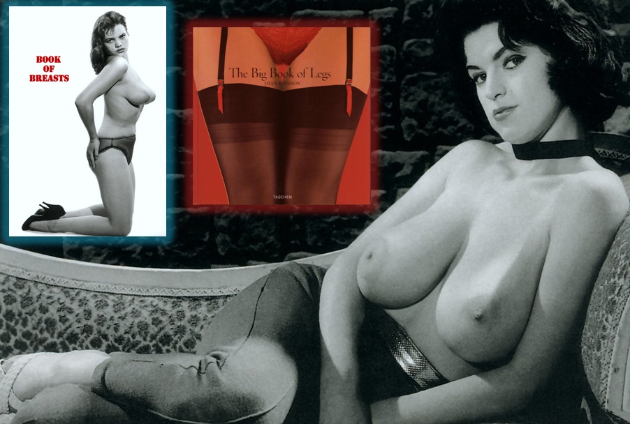 Книги о сиськах и женских ножках (Book of Breasts, The Big Book of Legs) [Erotica, Solo, Busty] [1960s, 1980s, Германия, PDF]