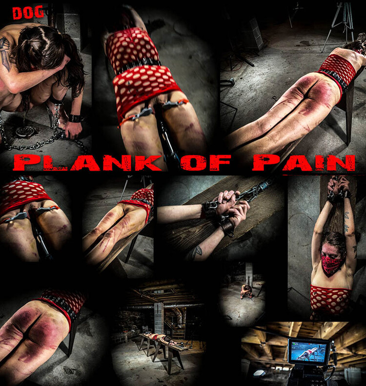 [BrutalMaster.com] Dog - Plank Of Pain (07.07.22) [2022 г., BDSM, 1080p, HDRip]