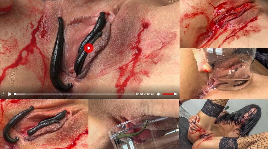 [Queensect.com / Queensnake.com] vampires [11/24/2017, BDSM, Bugs, Insects, Worm, Orgasm, Blood, 1080p