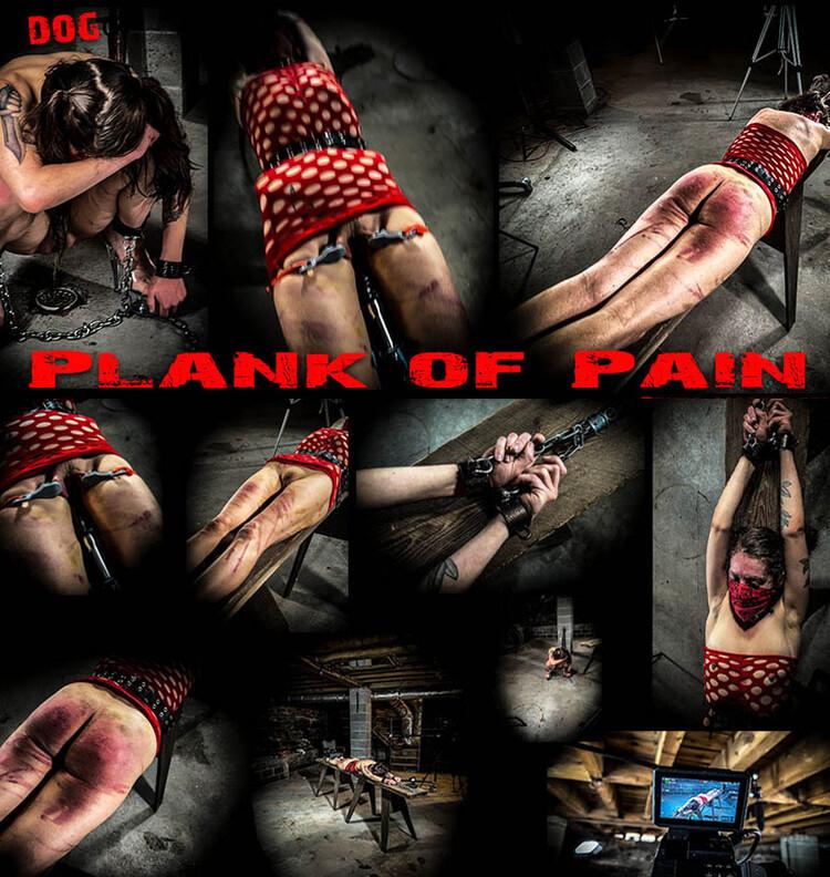 [4.68 GB] [BrutalMaster.com] Dog - Plank Of Pain (07.07.22) [2022 г., BDSM, 1080p, HDRip]