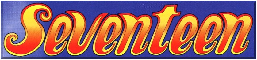 Seventeen - Часть 2 (комплект из 50 журналов) [All sex, Anal, Oral, Erotica, Solo, Lesbians, Teen] [2000s, Нидерланды, PDF]