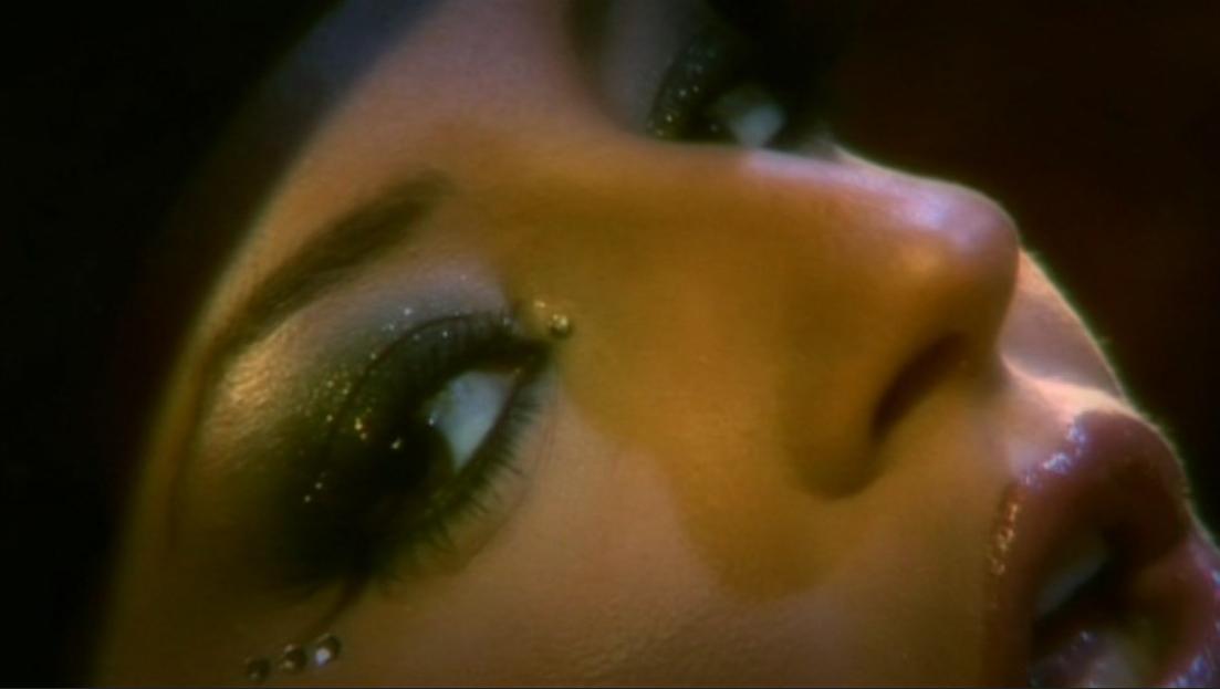 Judith Fox - French Connexion [2006 г., Brunette, Posing, Uniform, Anal, DVDRip]