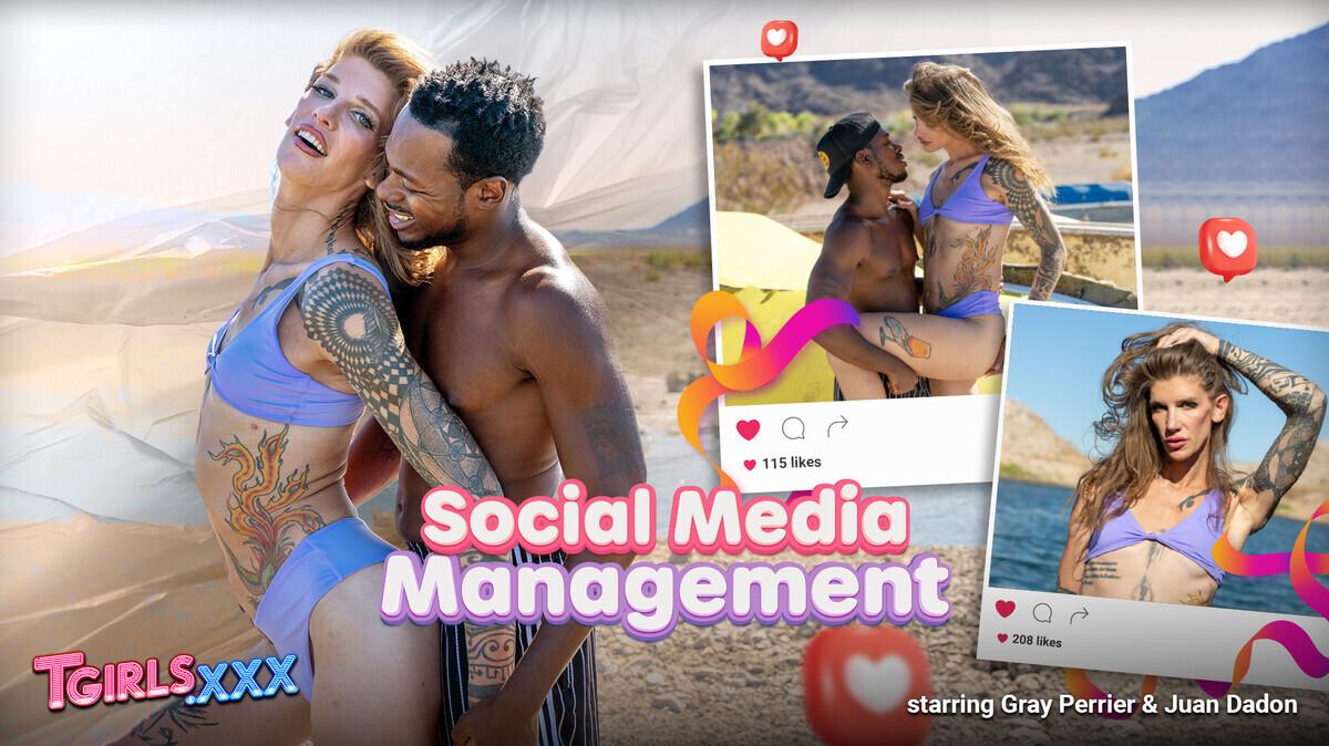 [2.21 GB] [TGirls.XXX] Gray Perrier - Social Media Management (05-11-2025) [Male On Shemale, Interracial, Blowjob, BBC, Small TIts, Stay Hard While Fucked, Rimming, No Condom, Tattoos, Cumshot, 1080p, SiteRip]