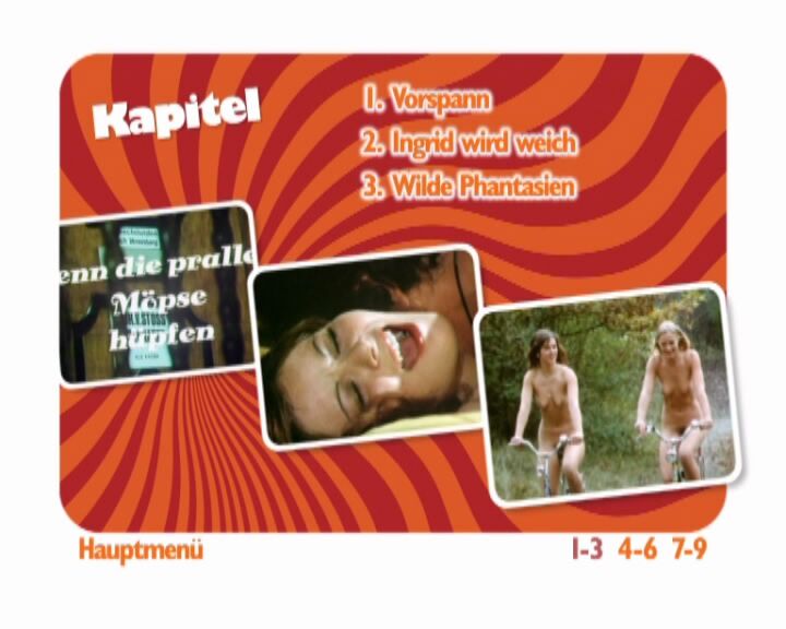 Wenn Die Phalelen Möpse Hüpfen / When Girls begin to frustrate (Ernst Hofbauer, Rapid Film) [1974, Comedy, DVD9] [RUS] – Porn torrents download