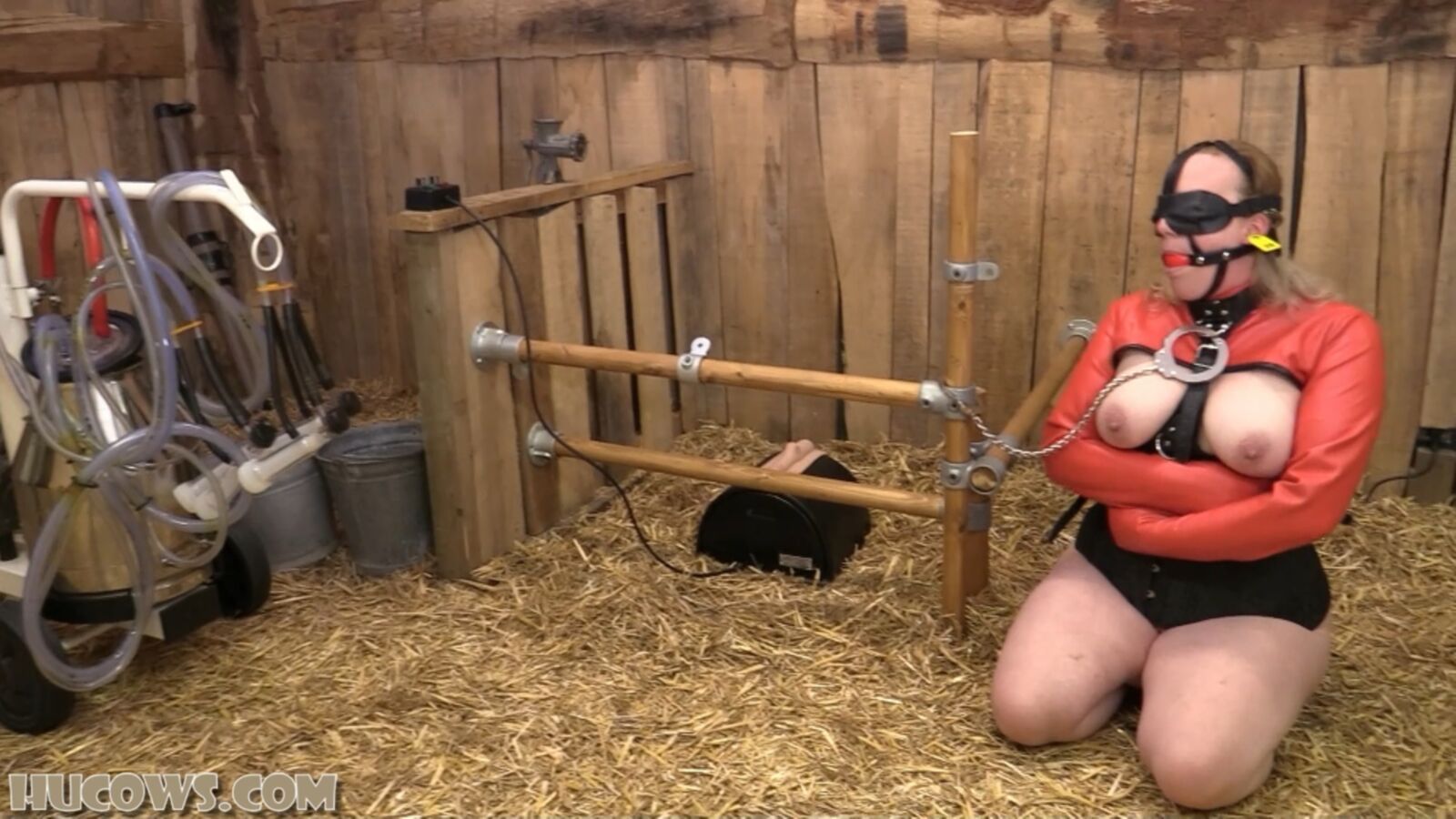 [1.24 GB] [HuCows.com] HuCow 38 – Sybian and goat milker / Sibian and milking goats [2020-06-27, breast training machine, bondage, ball gag, 1080p, HDRip] – Porn torrents download