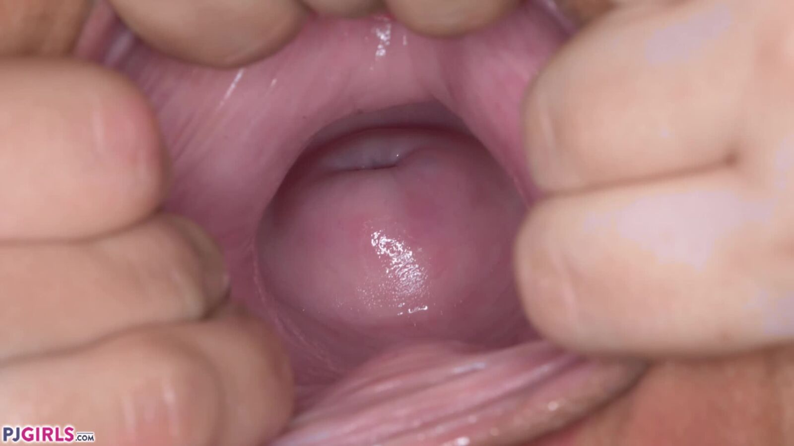 [55.9 GB] [PJGirls.com] (rollers 39) Pack / January-March 2020 [solo, gaping, masturbation, toys, fisting, lesbian, close ups, gyno, milf] [1080p] – Porn torrents download