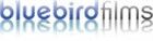 Bi Fucks 1 / BB Fuck (Bluebird Films) [2011, Anal, Bi-Sexual, Big Boobs, Facial, Facial Cumshot, Foursome, Lingerie, ThreeSome, Web-DL, 540p] – Porn torrents download
