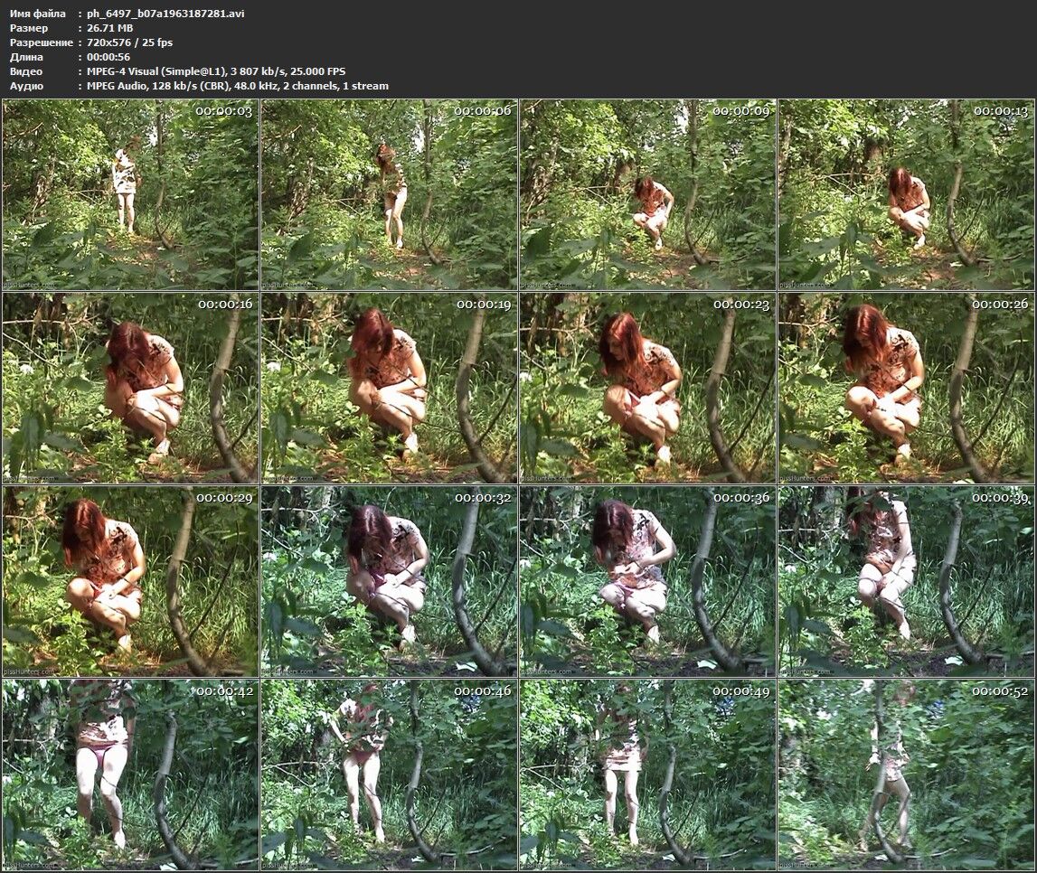 [Pisshunters.com] 6494-9971 (3356 rollers) [2009-2013, Voyeur, Spycam, Peeing, SD, 720p, SiteRip] – Porn torrents download