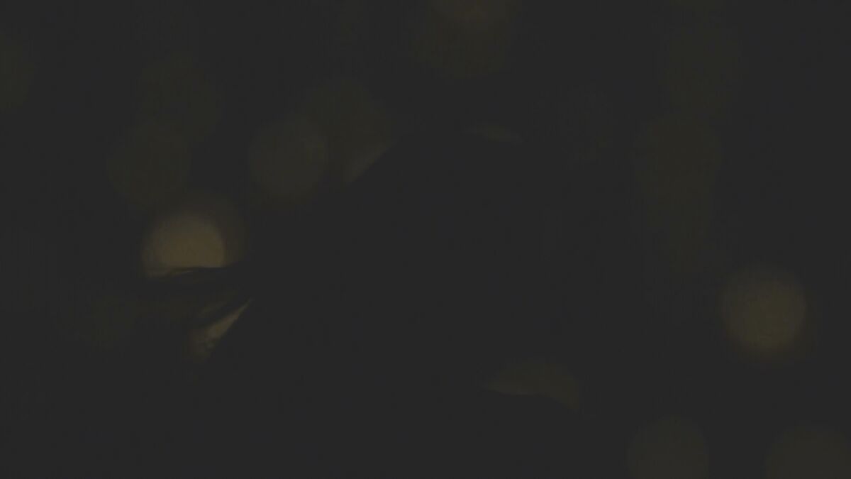 [Metartx.com] Sarika A (Silk) [2022-03-04, Solo, Posing, Masturbation, 1080p] – Porn torrents download