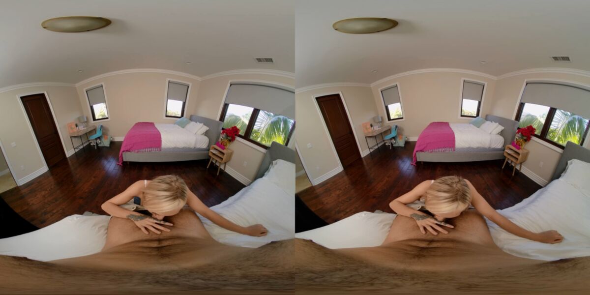 , Cowgirl, Reverse Cowgirl, Creampie, Small Tits, Natural Tits, Trimmed Pussy, Sidebyside, 1440p] [Samsung Gear VR] – Porn torrents download