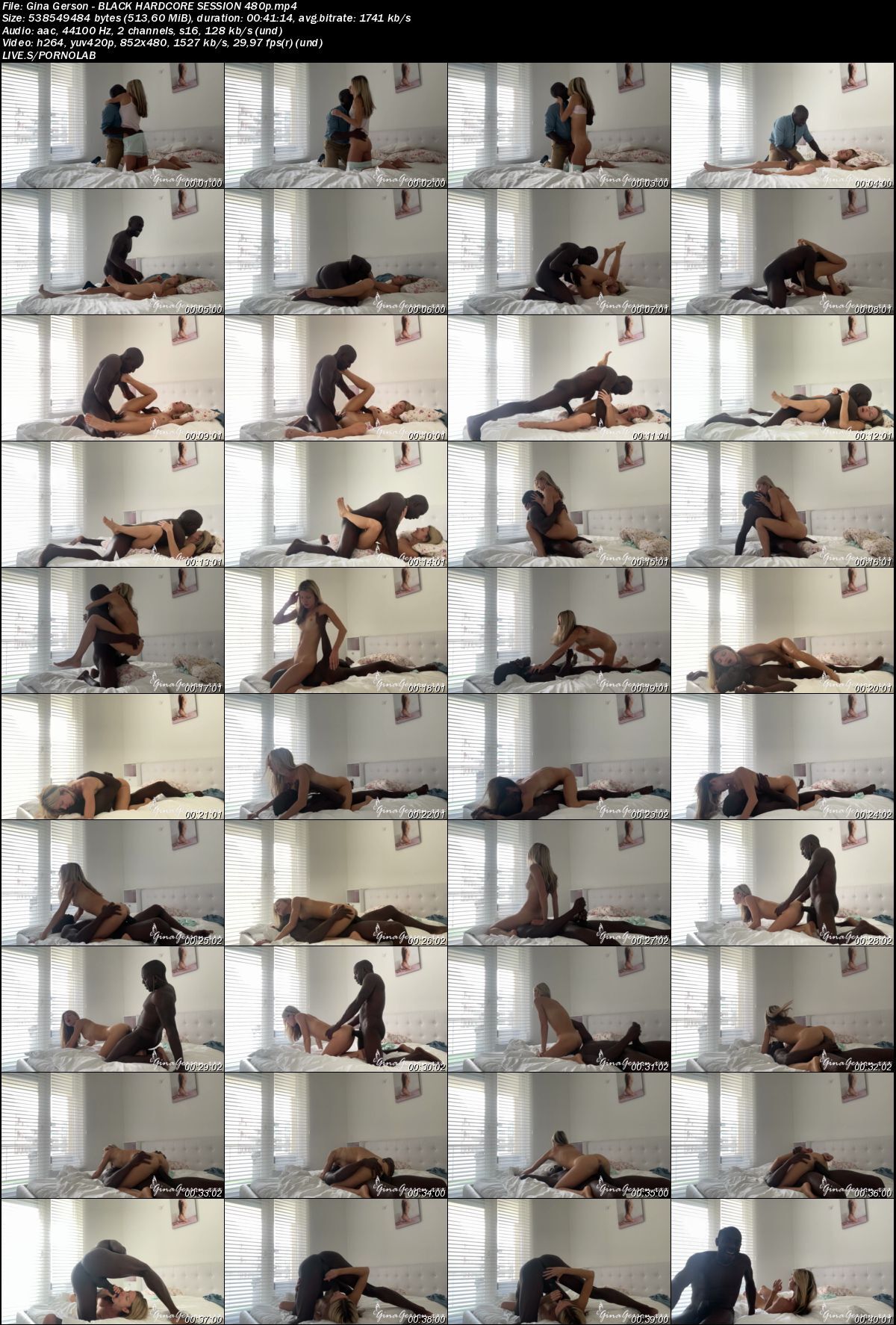 [GINAGERSON.xxx] Gina Gerson (Black Hardcore Session) [2022, Gonzo, Hardcore, All Sex, Coupeles, IR 480P] – Porn torrents download