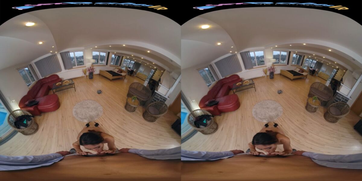 , Missanceary, Standing Missionary, Doggystyle, Medium Tits, Natural Tits, Trimmed Pussy, Sidebyside, 1440p] [Samsung Gear VR] – Porn torrents download