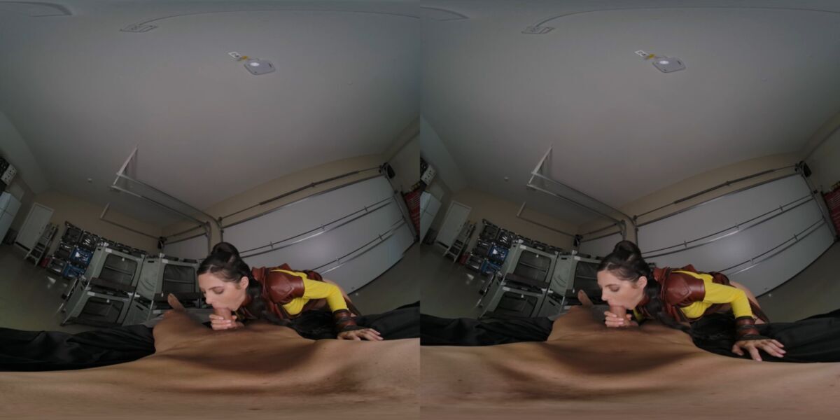 Tits, Natural Tits, Shaved Pussy, Cowgirl, Reverse Cowgirl, Missionary, Doggystyle, Cum on Pussy, Cum on Stomach, Sidebyside, 1440p] [Samsung Gear VR] – Porn torrents download