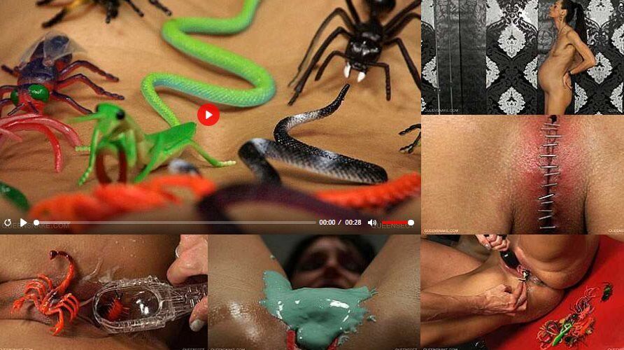 [Queensect.com / Queensnake.com] Queensect [06/09/2012, BDSM, Lezdom, Humiliation, Orgasm, Stuffing, Insertion, Staples, Electro, Violet Wand, 1080p] – Porn torrents download