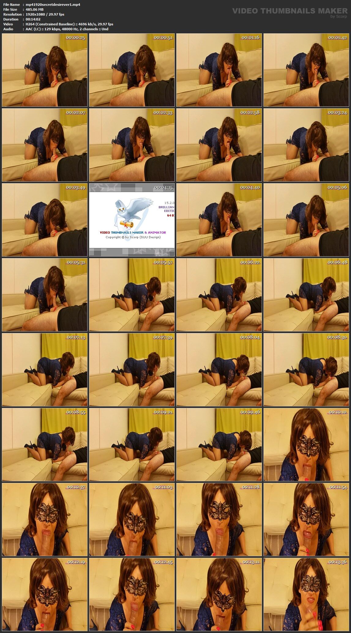 [clips4sale.com] Masked EVA (12 videos) Pack [Blowjob, Facial, Swallow] – Porn torrents download