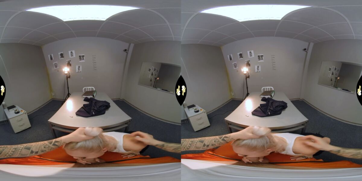 Tits, Natural Tits, Cowgirl, Reverse Cowgirl, Missanceary, Doggystyle, Sidebyside, 1600p, Siterip] [PlayStation VR] – Porn torrents download