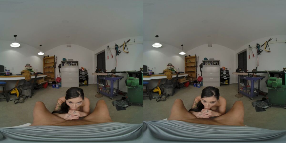 Big Tits, Natural Tits, Shaved Pussy, Masturbation, Doggystyle, Missanceary, Sidebyside, 2048p, Siterip] [Oculus Rift / Vive] – Porn torrents download