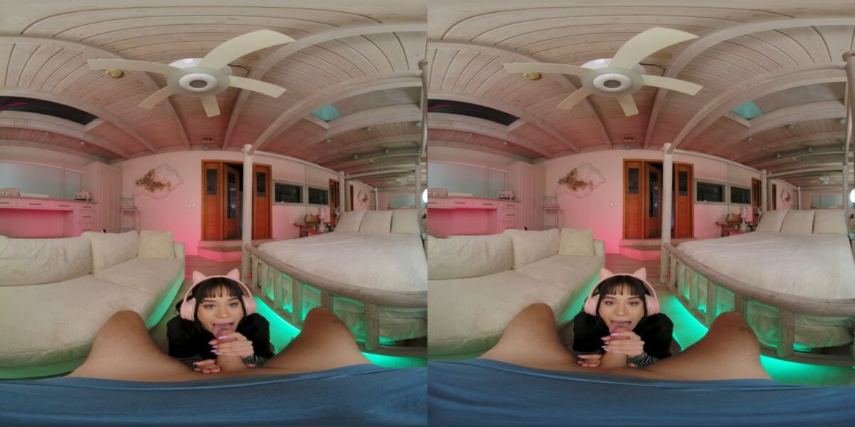 Small Tits, Natural Tits, Cowgirl, Reverse Cowgirl, Missionary, Doggystyle, Sidebyside, 1440p, Siterip] [Samsung Gear VR] – Porn torrents download