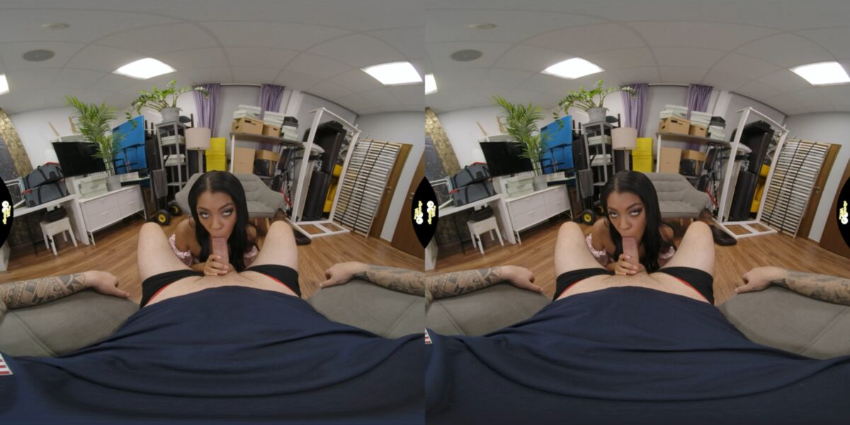 Pussy, Cum on Stomach, Brunette, English Language, Ebony, Latina, Cowgirl, Reverse Cowgirl, Missanceary, Titty Fuck, Sidebyside, Siterip] [Oculus Rift / Vive] – Porn torrents download