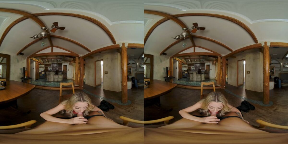 Cowgirl, Reverse Cowgirl, Missionary, Doggystyle, Titty Fuck, Sidebyside, 1440p, Siterip] [Samsung Gear VR] – Porn torrents download