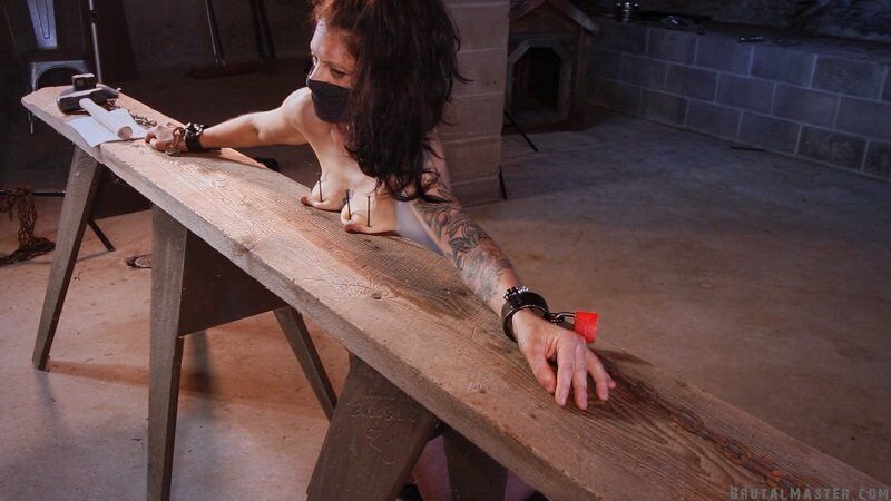 [BrutalMaster.com] Dog Tit Nailing & Milking [03/02/2023, BDSM, Humiliation, Torture, Whipping, 1080p] – Porn torrents download