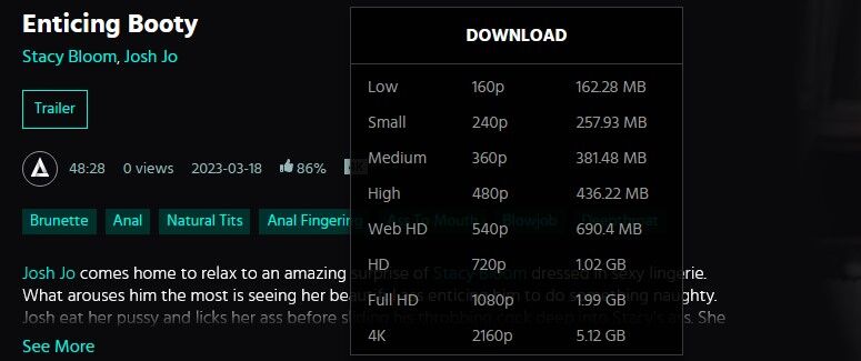 [AssHoleFever.com / 21Sextury.com] Stacy Bloom – Enticing Booty (03/18/2023) [2023, Anal, Gape, Brunette, Anal Fingering, Blowjob, Deepthroat, Big Dick, Gagging, Bubble Butt, Doggy Style, Facial] – Porn torrents download