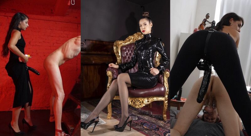 [iwantclips.com] Maya Sin (14 Videos) [2023, FemDom, Latex, Strapon, Chastity Cage, Ballbusting, 1080p, 2160p] – Porn torrents download
