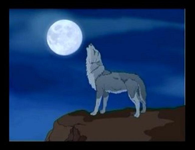 Lupus - Spanking (Pack) - 16 Video (6 Films) / Люпус - Спанкинг (Пак) - 16 Видео (6 Фильмов) (Lupus-pictures) [2000-е г., BDSM, Spanking, Fetish, Teens, Bondage, Cosplay, SiteRip]