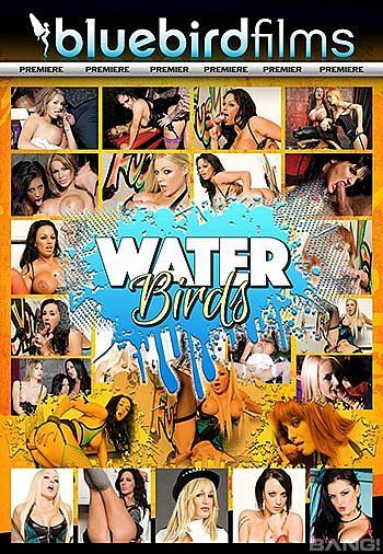 Waterbirds Vol 1 / Water birds (Bluebird Films) [2017 g., Big Boobs, Facial Cumshot, Fetish, Lingerie, Foursome, Piercing, Fishnet, WEB-DL, 540p] (Split Scenes) – Porn torrents download