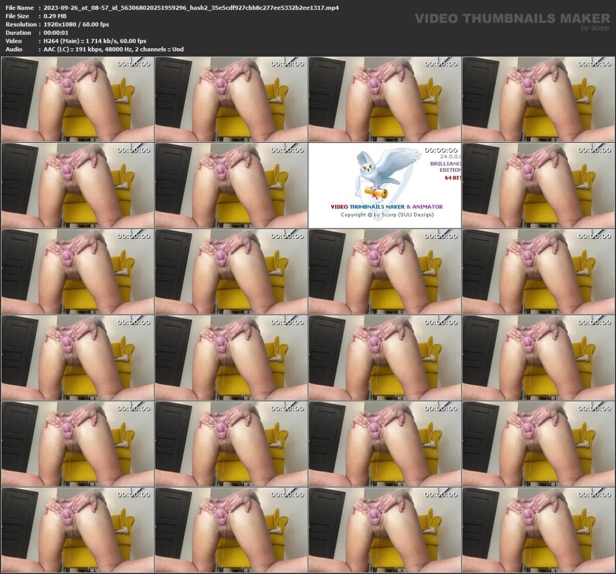 [51.32 GB] Crazy Wife Slut pt. 2**Updated** Crazy Wife Slut Update (178 videos) – Porn torrents download