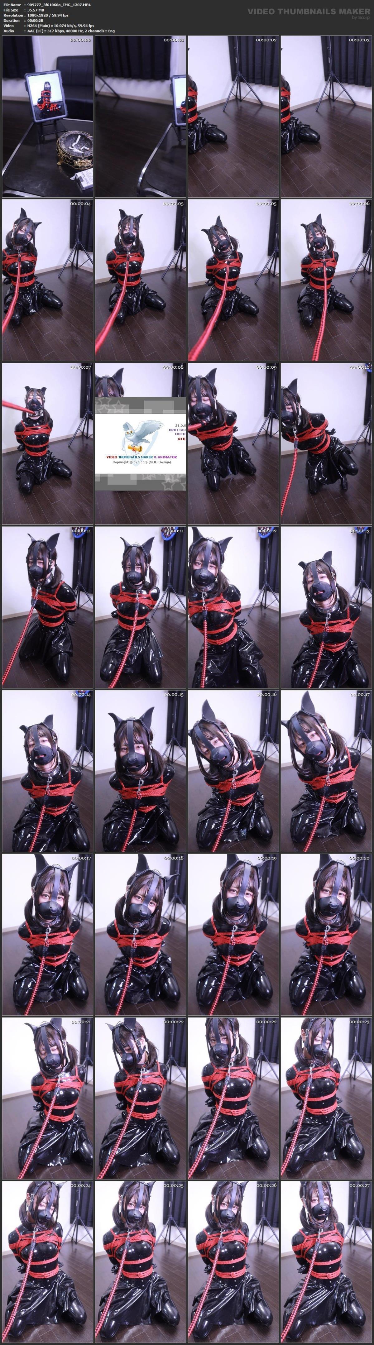 [120.38 GB] Lemon (369 video) – Porn torrents download