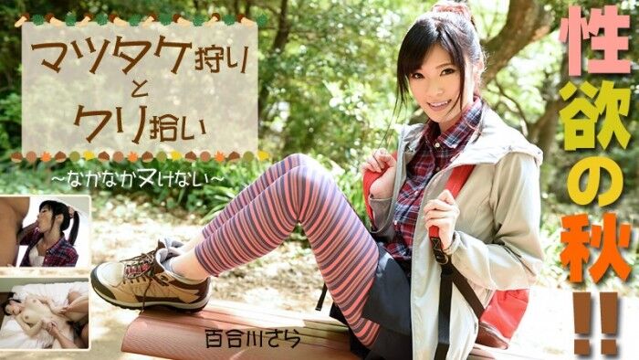 [Heyzo.com] Sara Yurikawa [0976] [uncen] [2015, Blowjobs, Cumshot, Creampie, Doggy Style, Straight Sex, 360p] – Porn torrents download