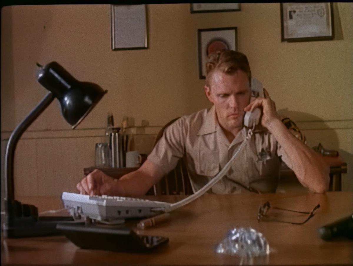 [7.77 GB]Selvaggia / Notgeil und Wild / Raw and Naked / Texas / La belle denudee / The Beautiful Savage (with Russian translation) (Joe D’Amato, In-X-Cess Productions) (Selen, Kelly Trump, Gina Rome, Hakan as Hakan Serbs, Claudio as Claudio Kleen, Warren Scott) – Porn torrents download