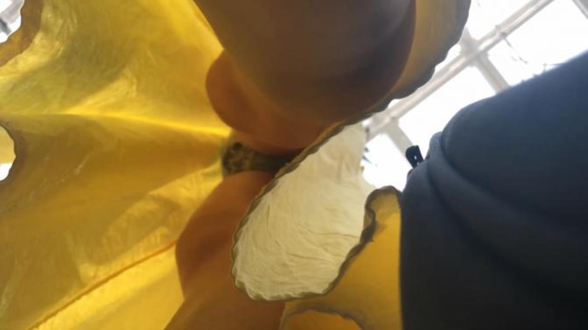 [95.49 GB]Hidden-Zone Asian Edition Pack 271 19 March 2024 (250 Clips) – Porn torrents download