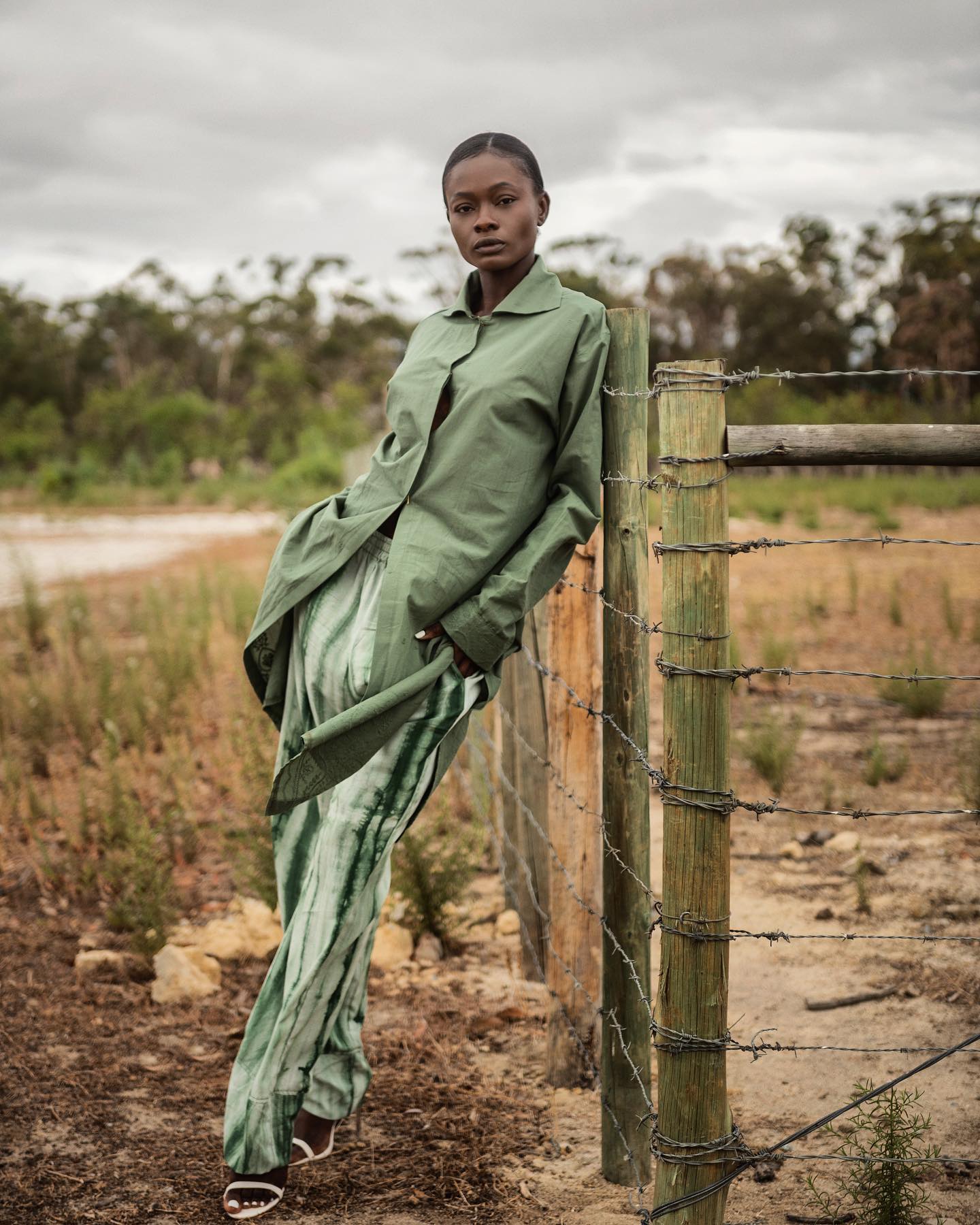 Adeola Ariyo