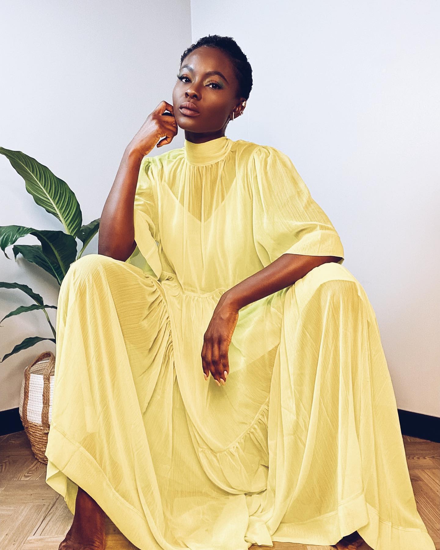 Adeola Ariyo