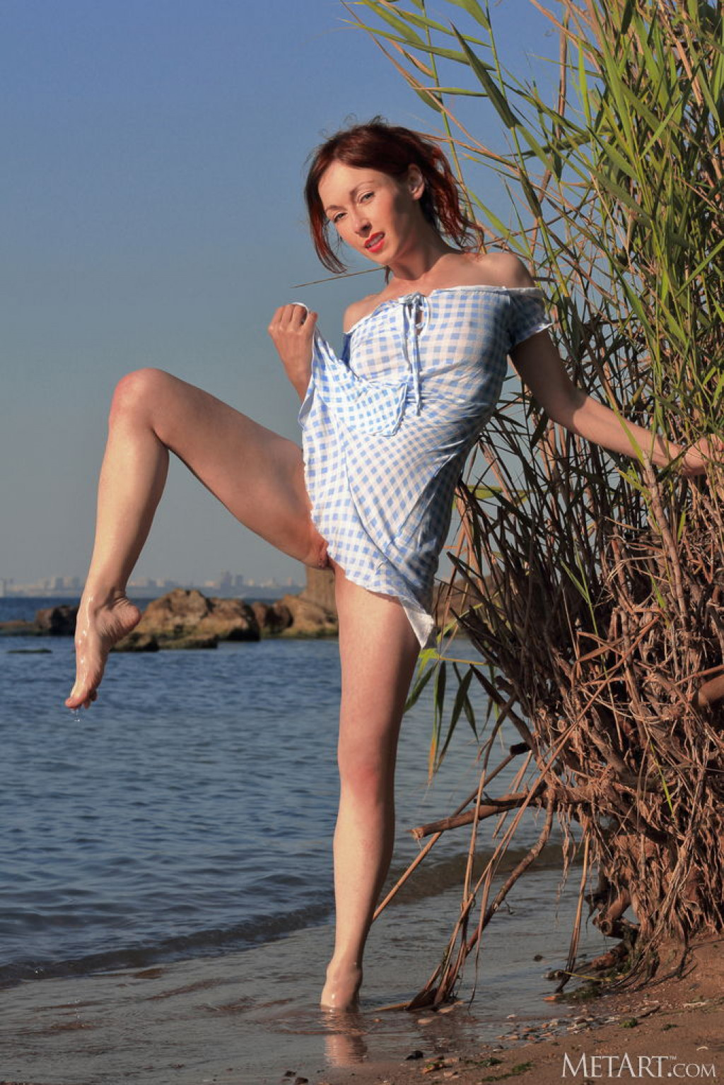 Agatha D
