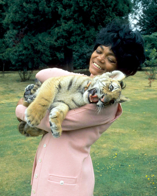 Eartha Kitt